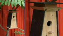 Nistkasten_mini Nistkasten_mini