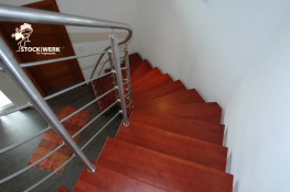 skeleton-v2a (5)_mini_preview