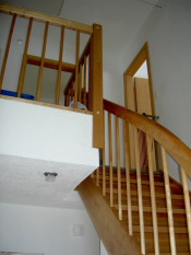 trendy-birke07_mini_preview